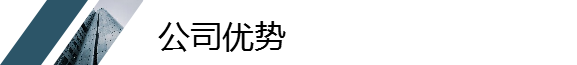 公司优势